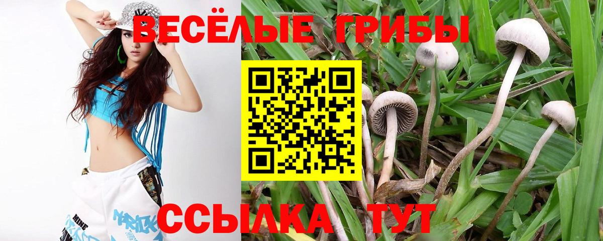 Волгоград  Галлюциногенные грибы GOLDEN TEACHER  цена   Галлюциногенные грибы Cubensis  Вход с VPN 