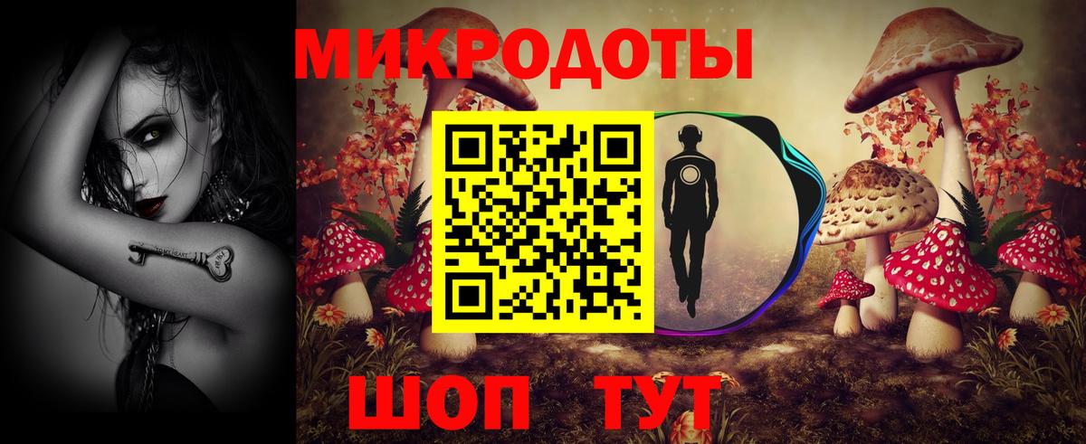 Галлюциногенные грибы Cubensis Волгоград